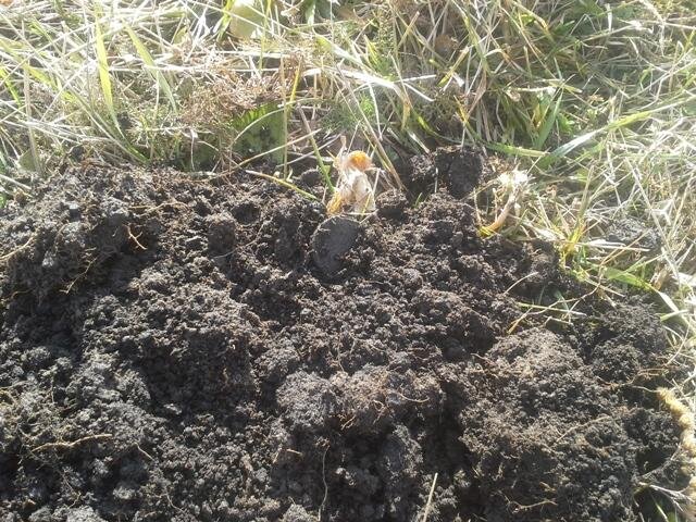 Фото из личного архива