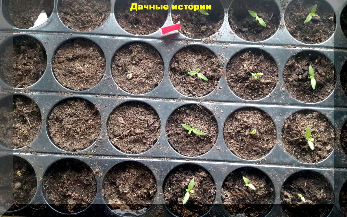 https://vk.com/photo-159774511_457244934
