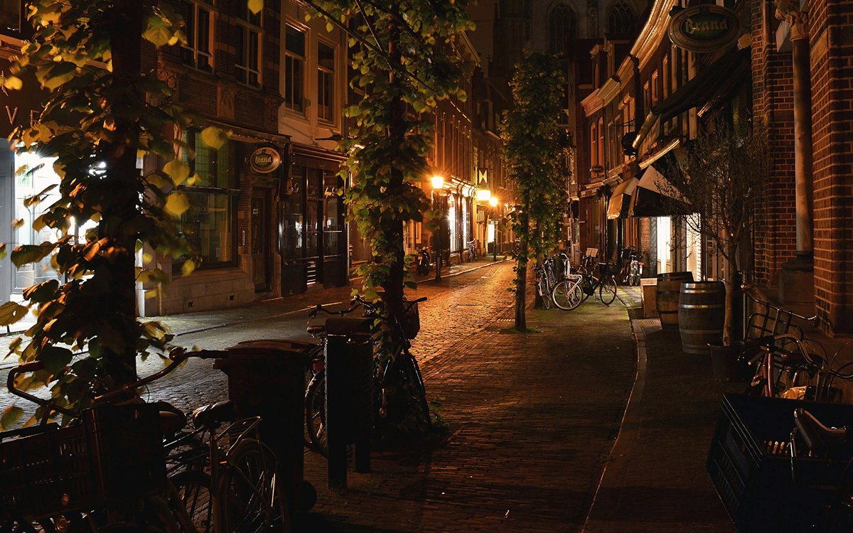 Яндекс.Картинки https://s1.1zoom.me/b5359/362/Netherlands_Houses_Haarlem_Street_Night_Street_524903_1920x1200.jpg