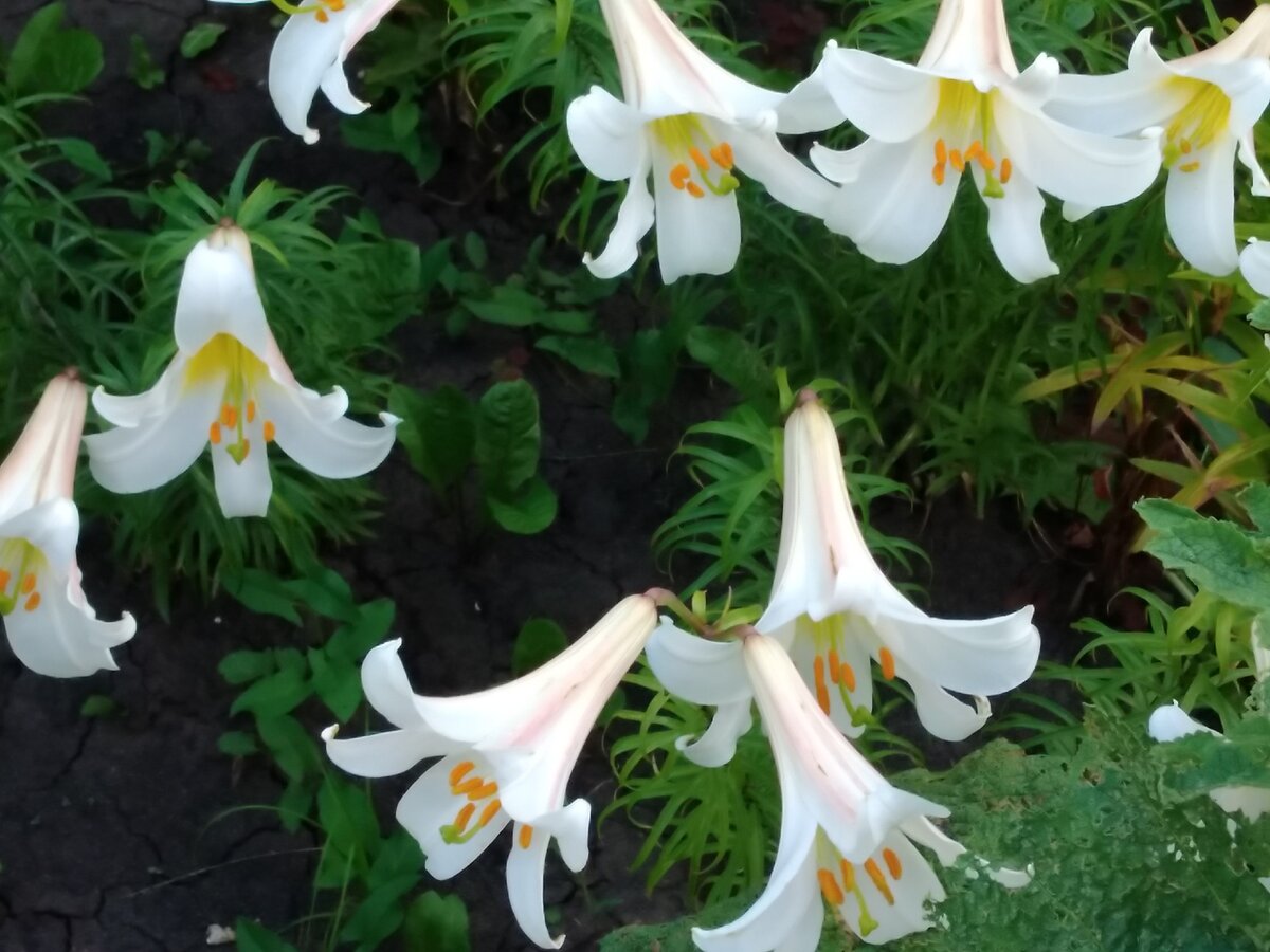 Фото автора.