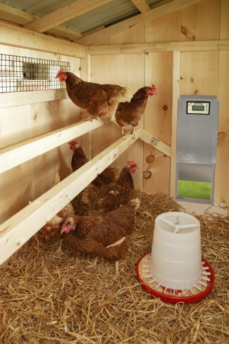 несколько примеров насестов.Листайте.