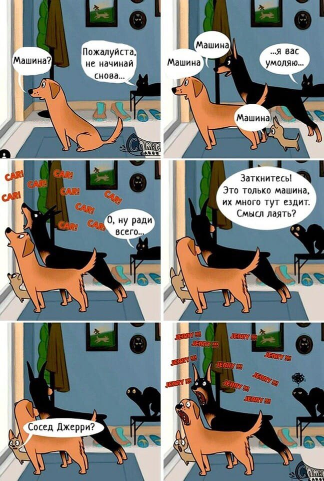 Из интернета. Но это - то, что происходит у нас в доме каждый день. Не мог не поделиться.