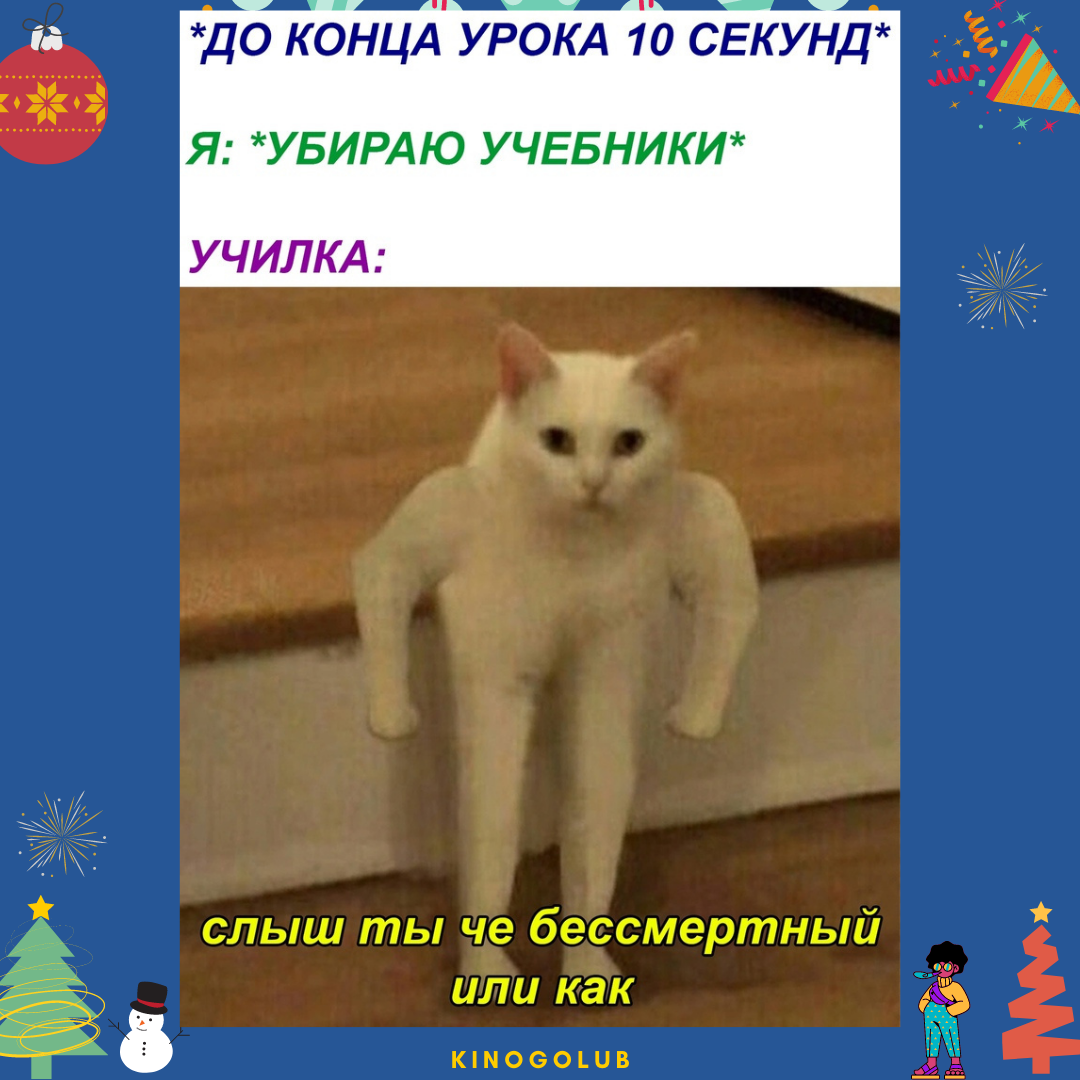 Называть кинуть. Кот Мем. Мемы с котами про учебу. Неплохо Мем кот. Кот буду Мем.