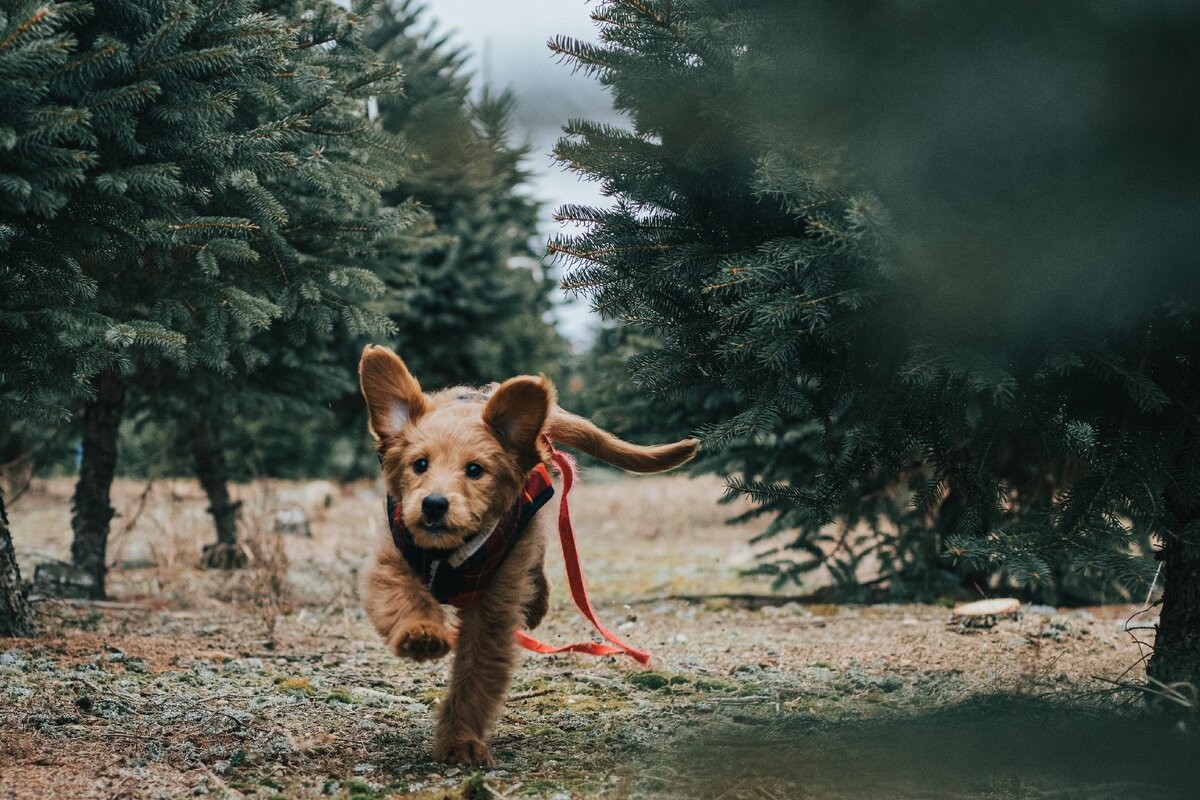 Источник pexels jayden burdick 