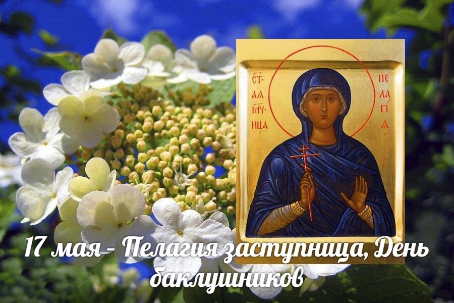 Фото из открытых источников.