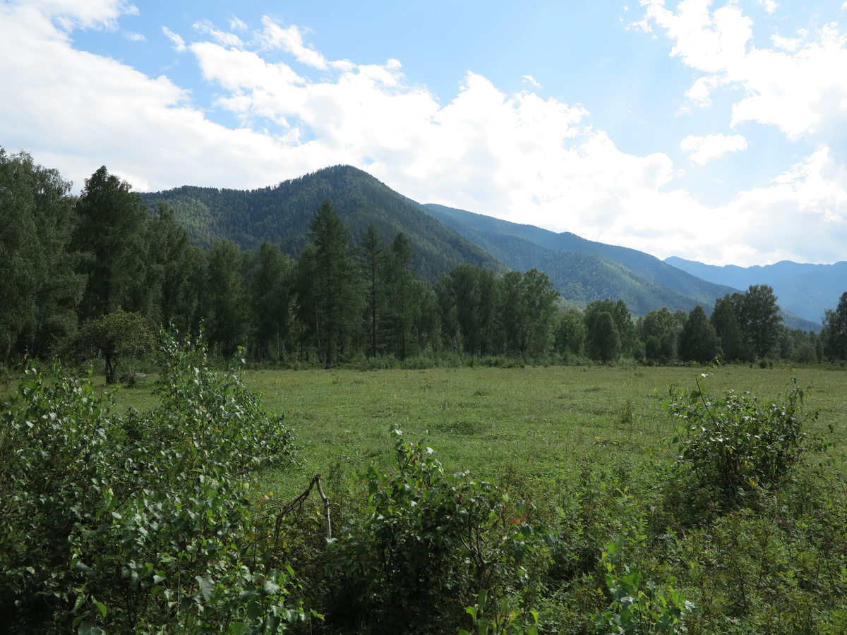 красоты Алтая