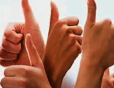 Фото из свободного доступа.