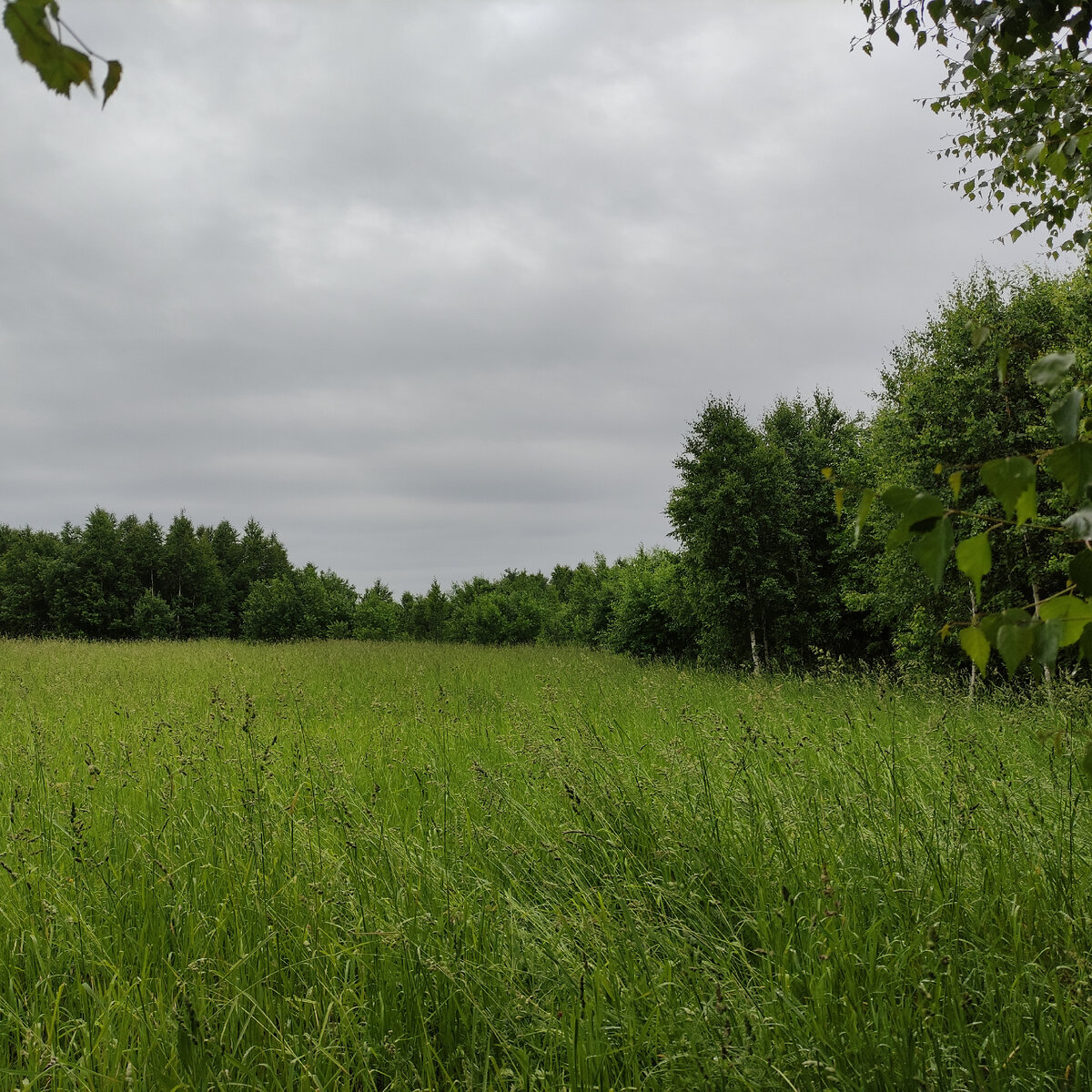 Очень мокрая фотография