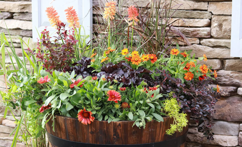 Цветник в бочке (Фото с www.homedepot.com)