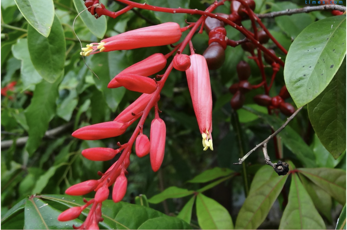 Фото взяты для иллюстрации из открытых источников