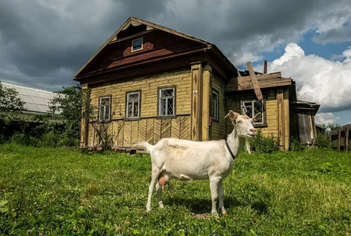 Добавьте описание