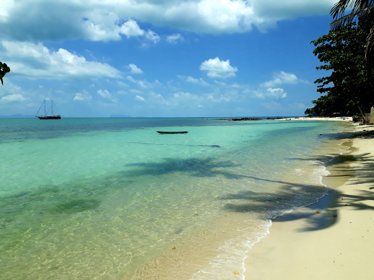 Тропики, такие тропики