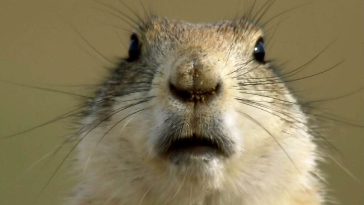 Интернет источник