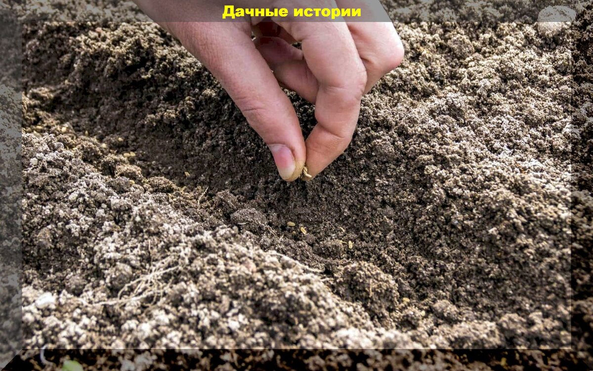 https://vk.com/photo-159774511_457249897