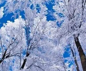 Яндекс картинки