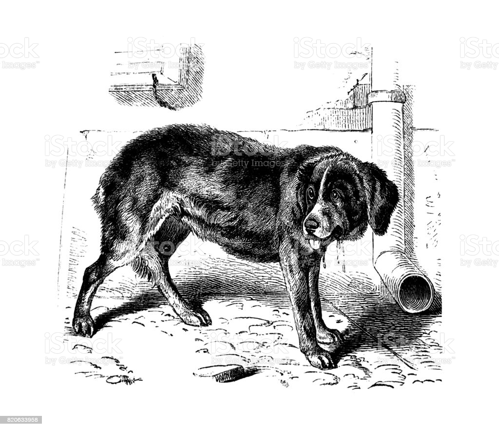 Картинка из интернета