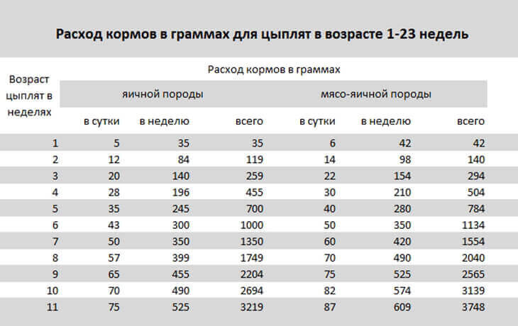 Таблица норм корма для цыплят яичной и мясояичной породы в возрасте дл 23 недель