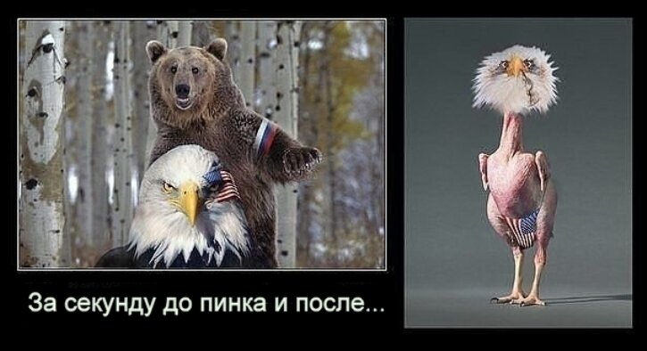 Бесплатная картинка из открытых источников.