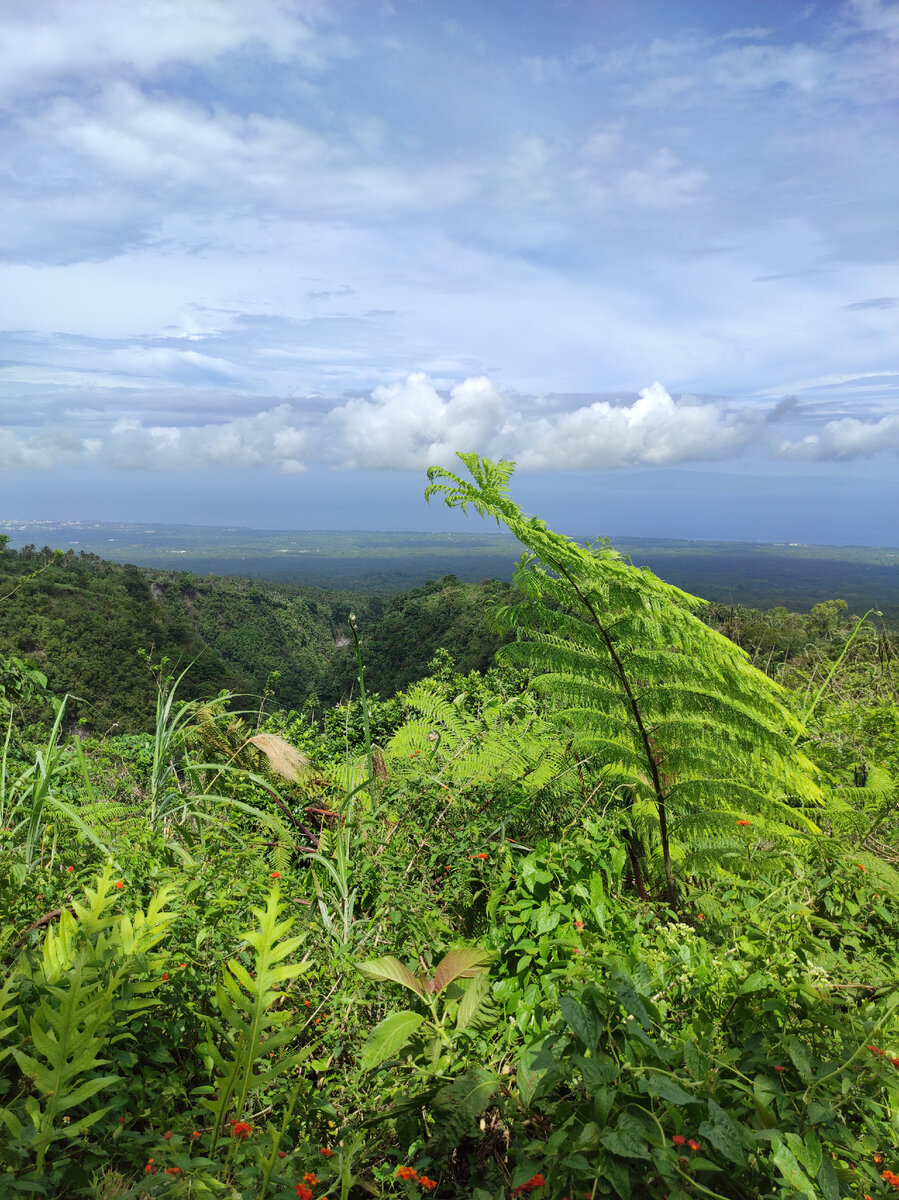 Остров Негрос. Филиппины 