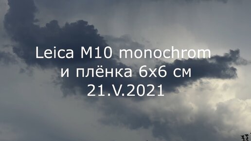 С.В. Савельев. Leica M10 monochrom и плёнка 6х6 см - [20210521]