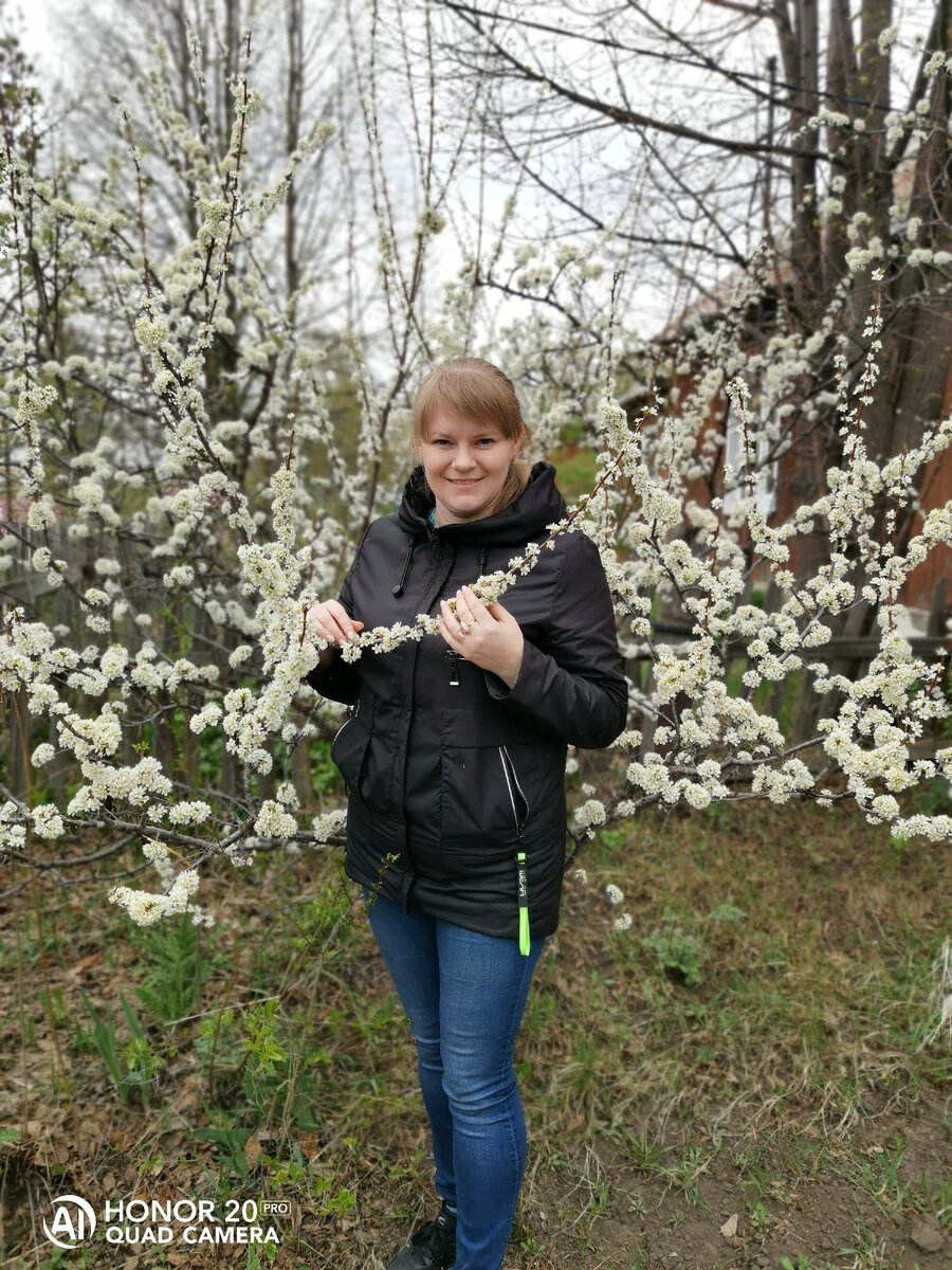 Слива просто превосходно красивая стала! 