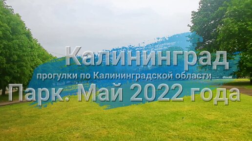 Прогулка вдоль каштановой аллеи под звуки города. Калининград в мае 2022 года.