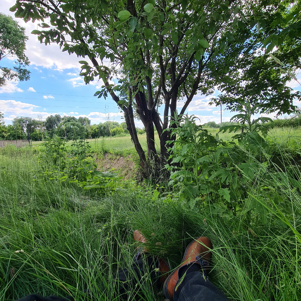 Природа Коломны