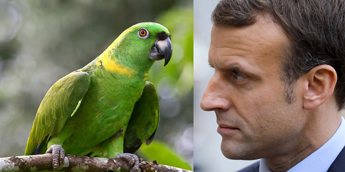 Болтун - находка для шпиона.