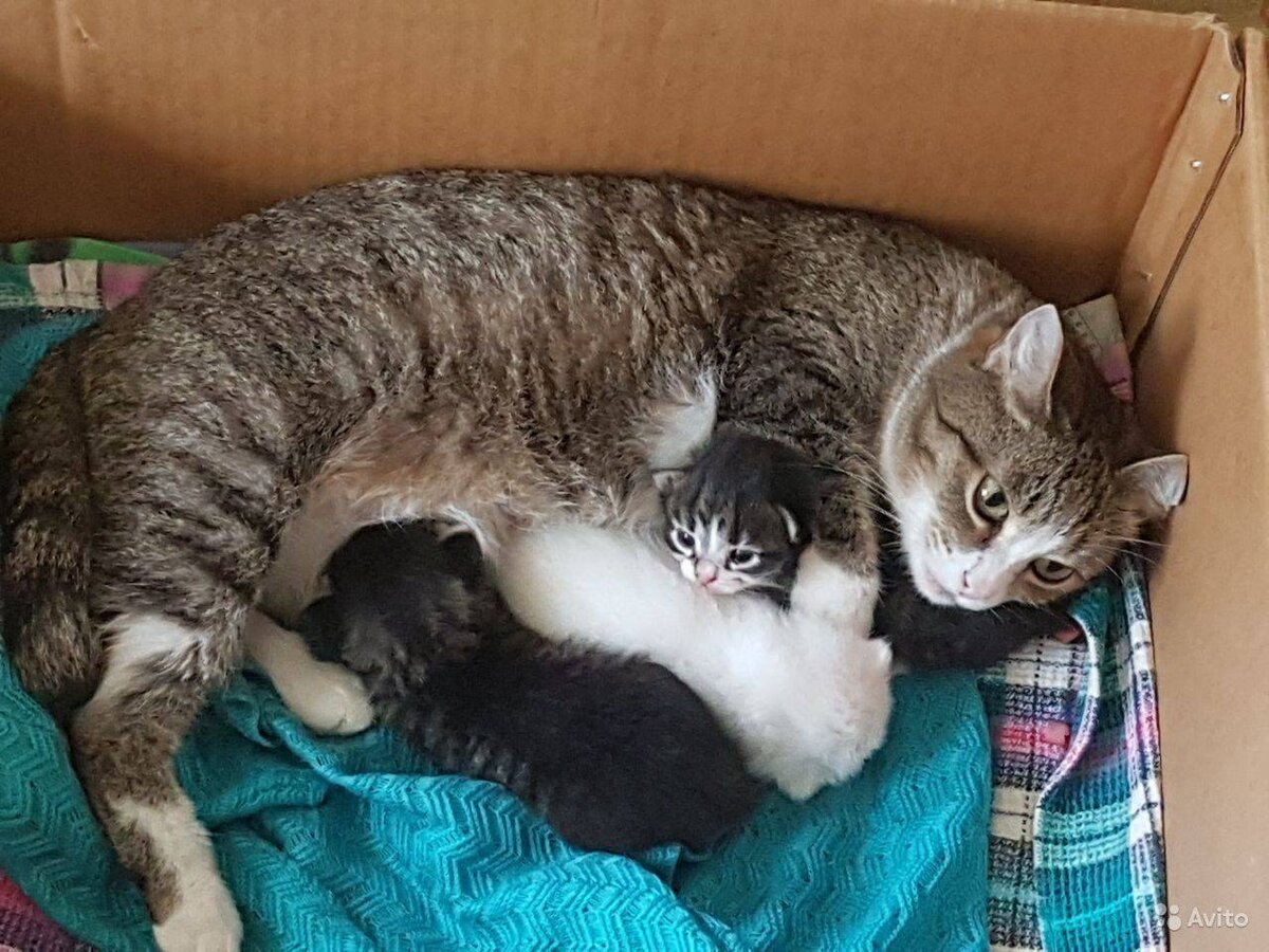 Фото из свободного доступа интернета