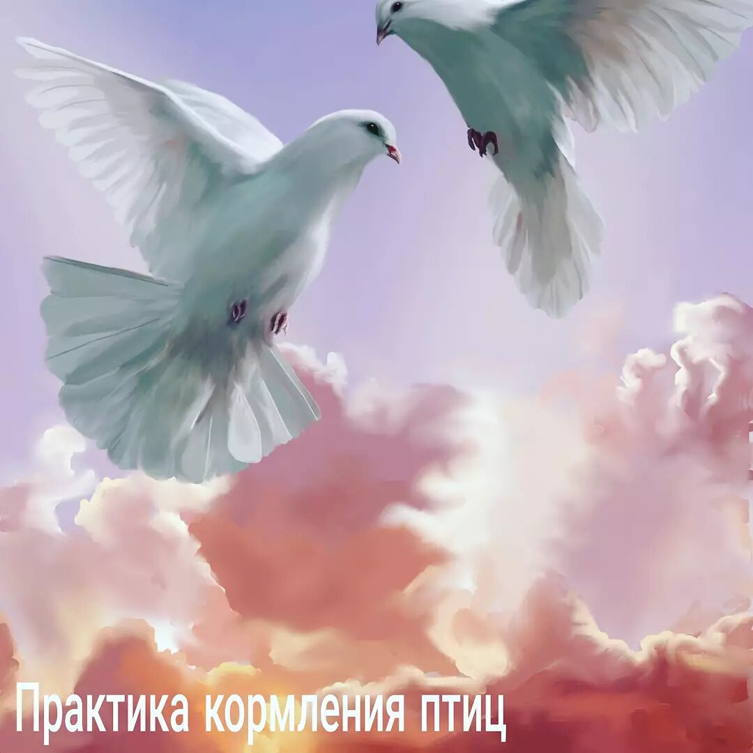 Фото из сети