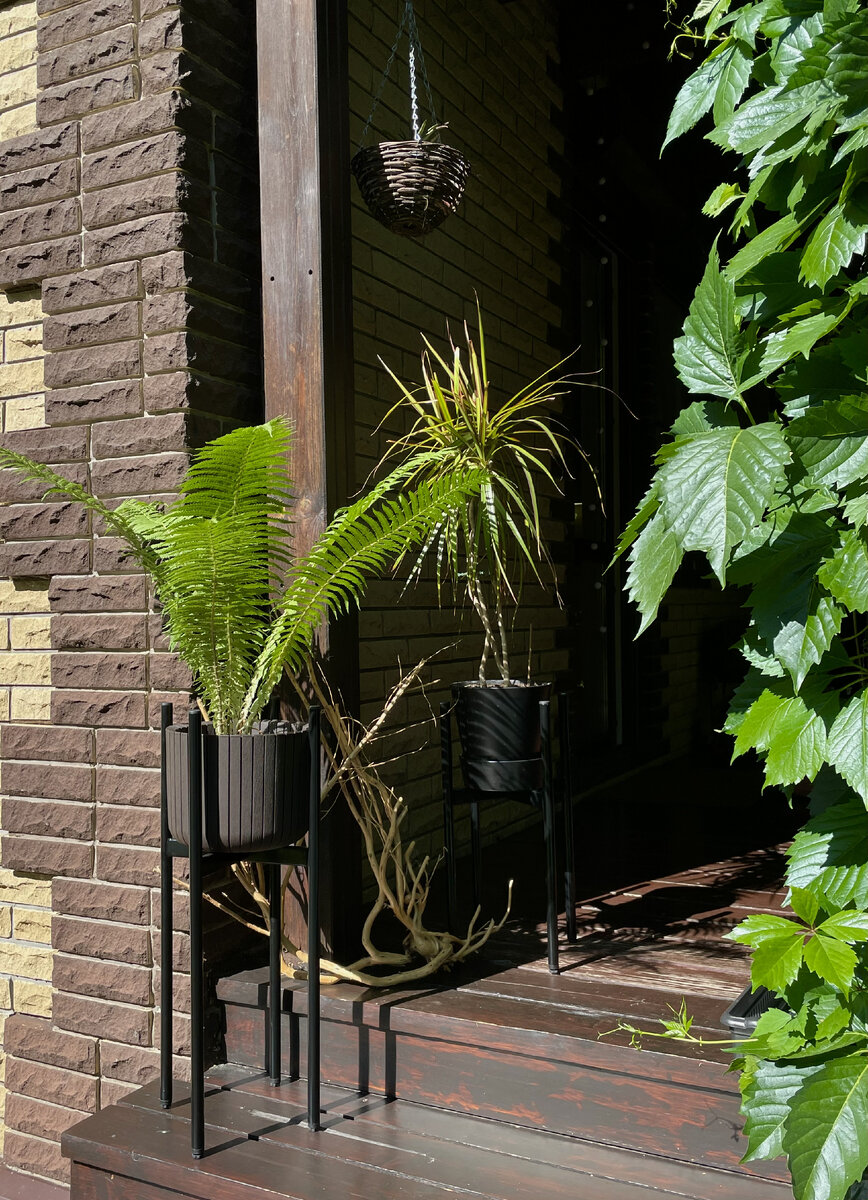 Пример разноуровневого оформления: солнечная веранда – идеальное место для напольных подставок и подвесных кашпо. 