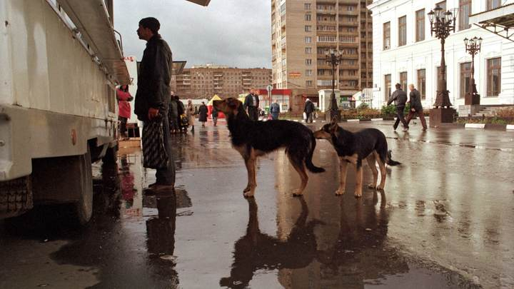 ФОТО: ALEKSANDR SCHEMLYAEV/GLOBALLOOKPRESS