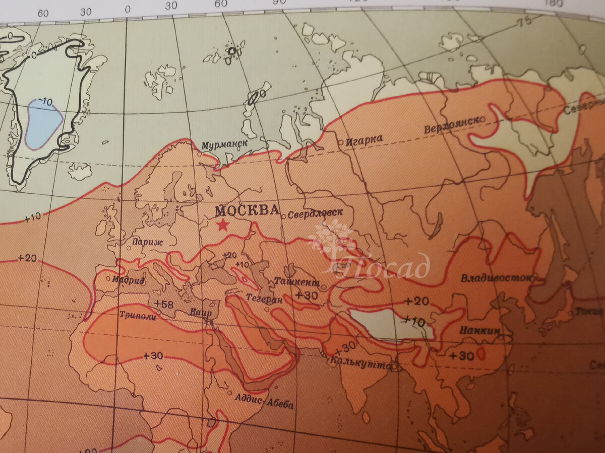 Зона морозостойкости 3. Зоны зимостойкости. Климатические зоны для растений по морозоустойчивости. Зоны морозостойкости. Зона зимостойкости растений.