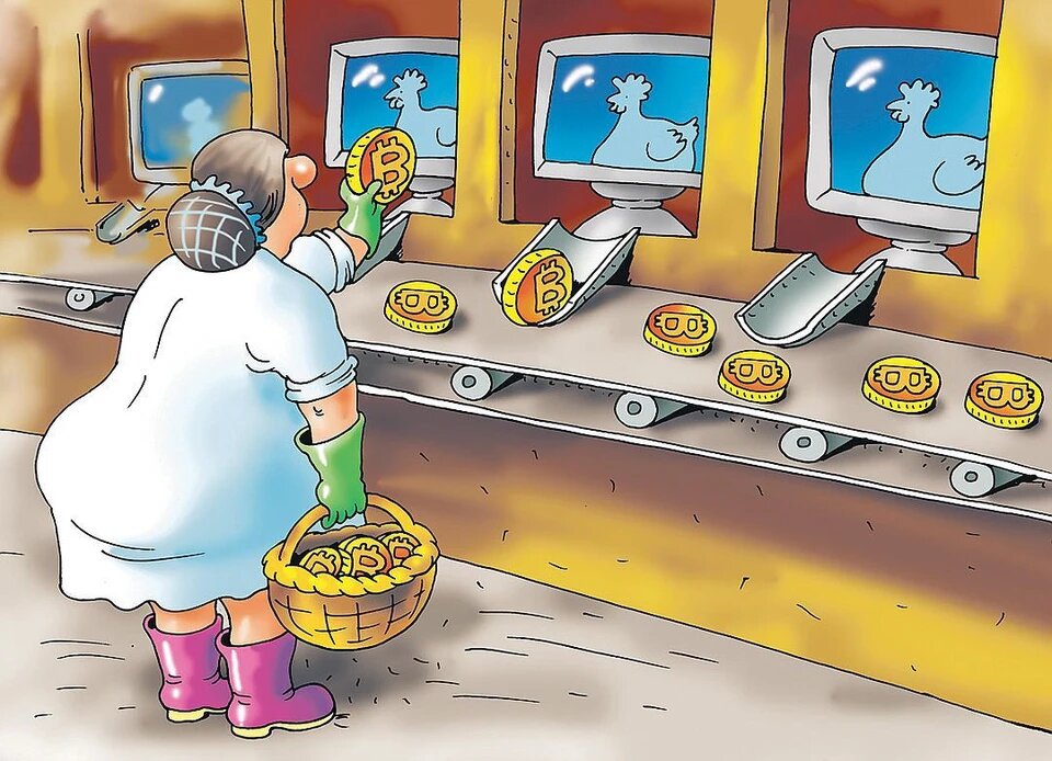 Картинка из интернета