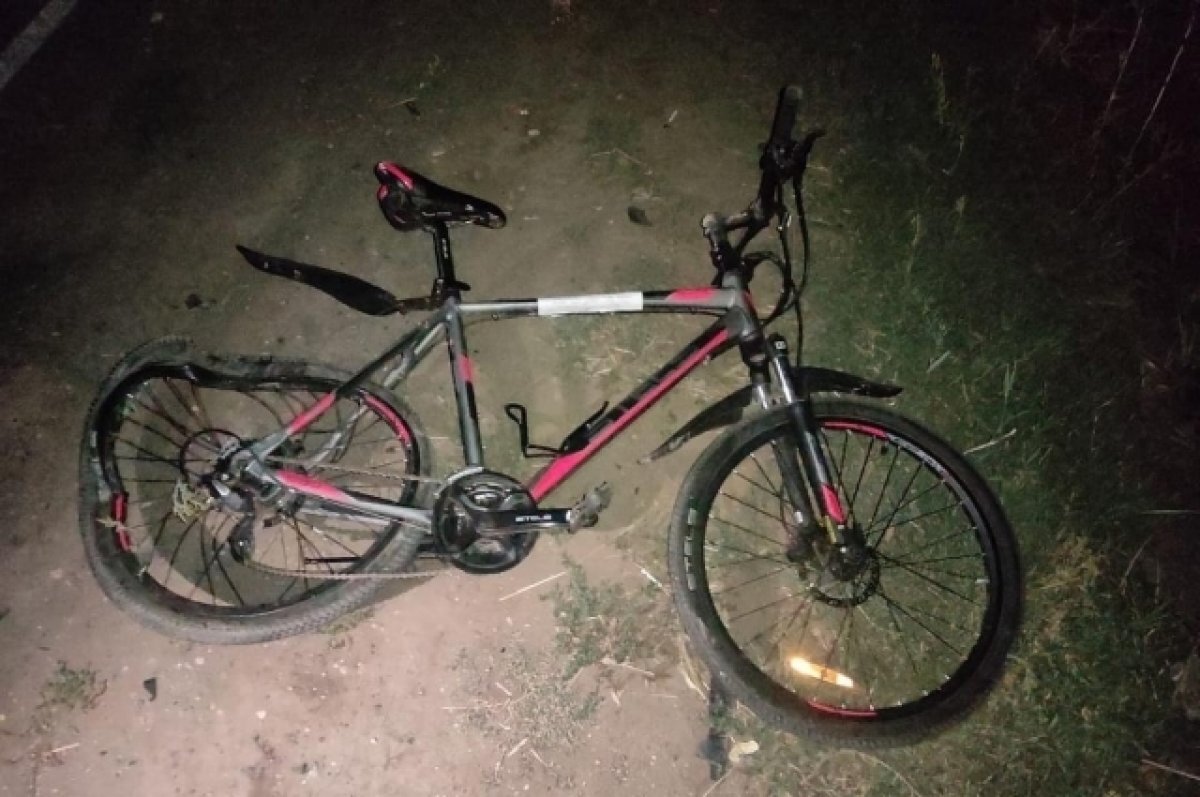    Суд Ставропольского края арестовал водителя, насмерть сбившего троих детей