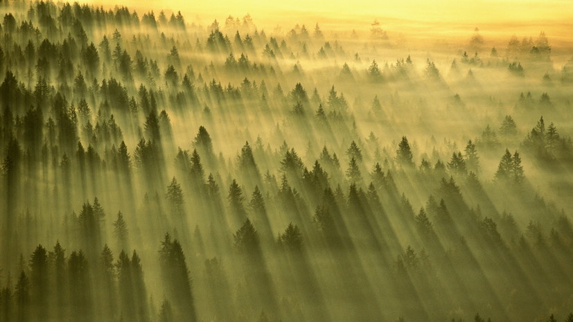   Gettyimages.ru Art Wolfe