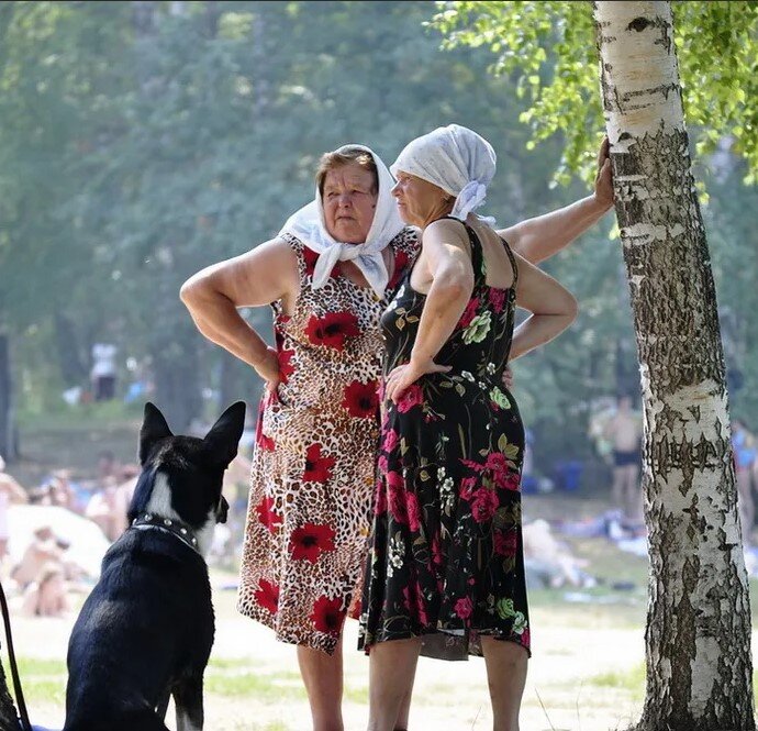 Яндекс картинки