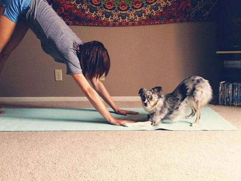 Источник фото: https://sun3-1.userapi.com/c836635/v836635316/39e8c/QpaDrVjLeUY.jpg