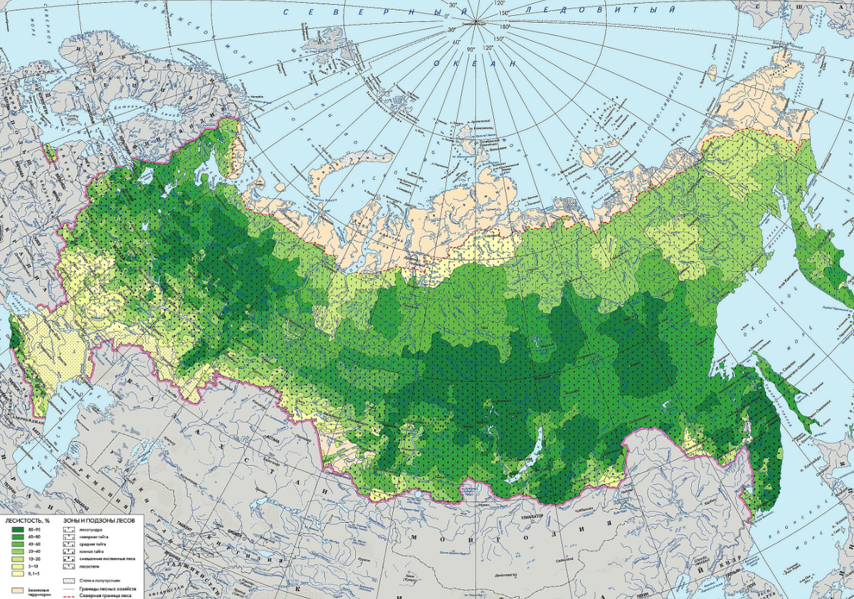 Лесные запасы РФ