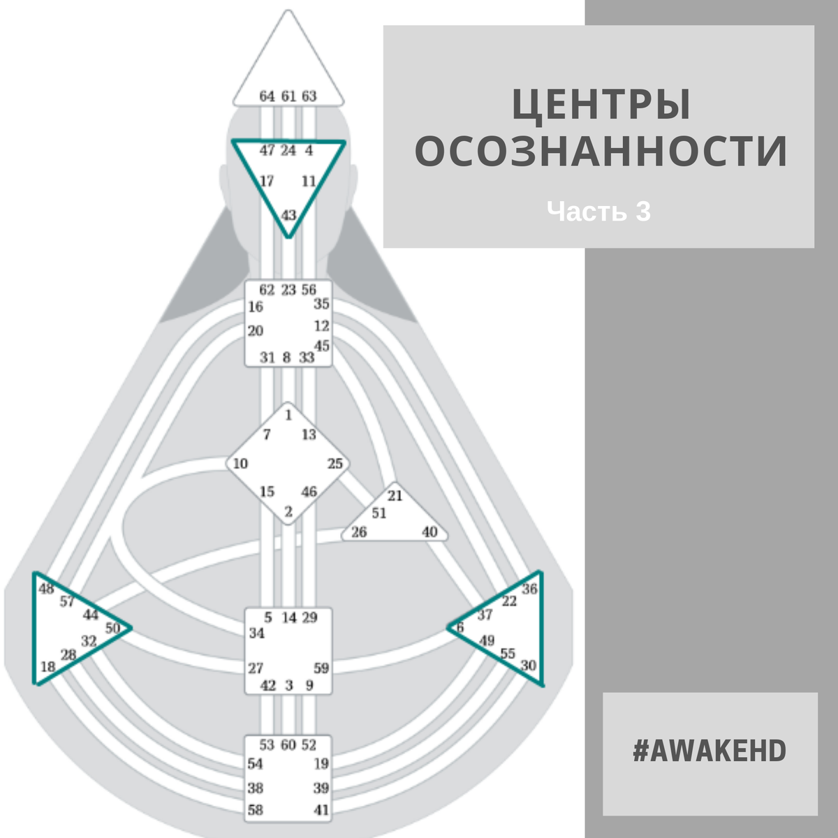 Дизайн человека картинки