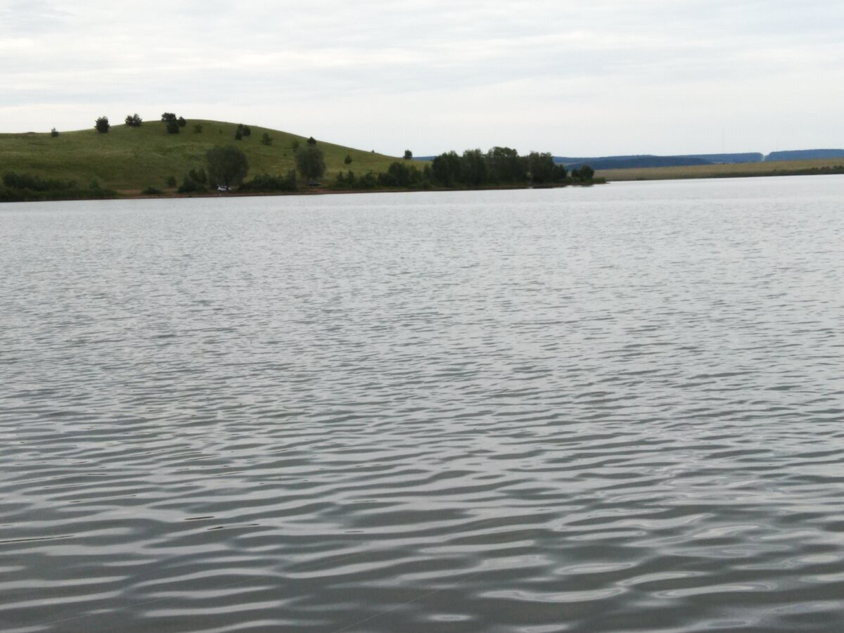 водоем где водится карп