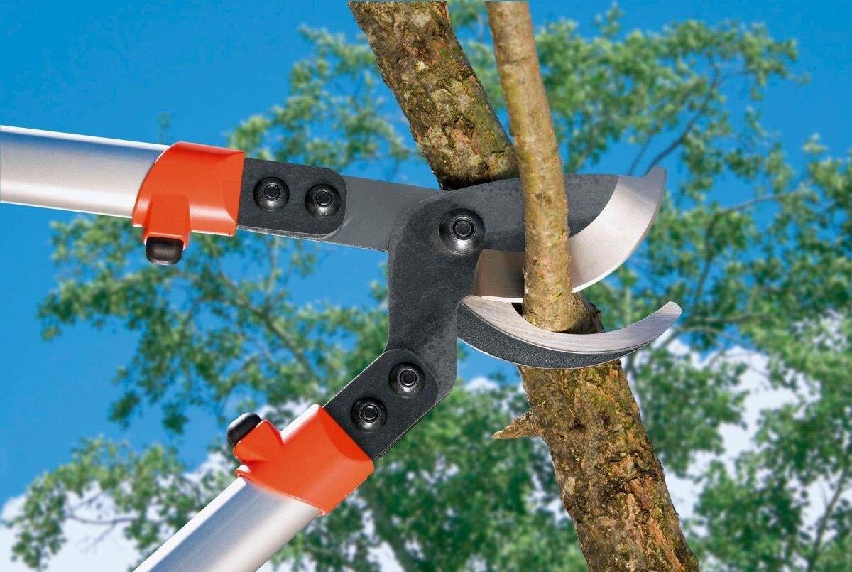 Сучкорез садовый деревьев ручной. Сучкорез Gardena. Сучкорез ручной INGCO hlt7101. Гардена ножницы с длинной ручкой для обрезки деревьев. Секатор для фруктовых деревьев Bellota 750 мм 358075.