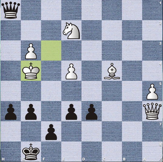 №110134 с сайта lichess.org