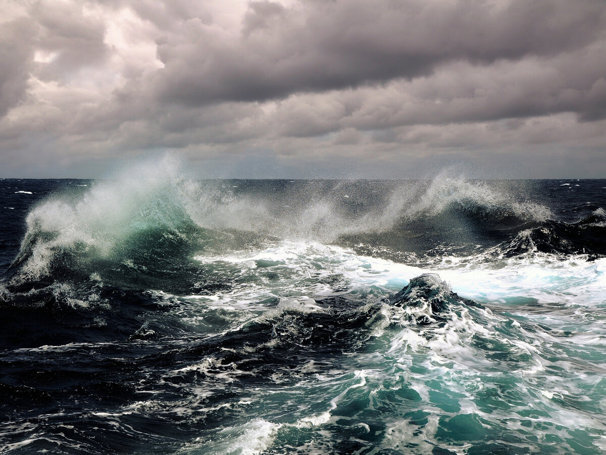 Изображение взято с Яндекс. Картинки.