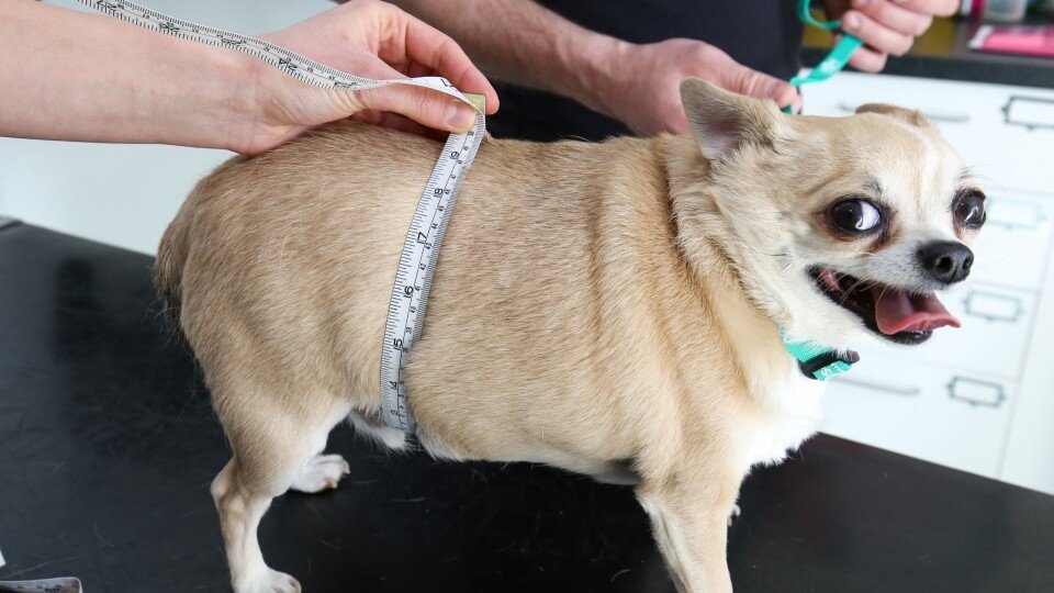 Источник: Яндекс Картинки