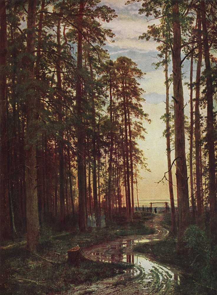зрелые женщины в лесу 
