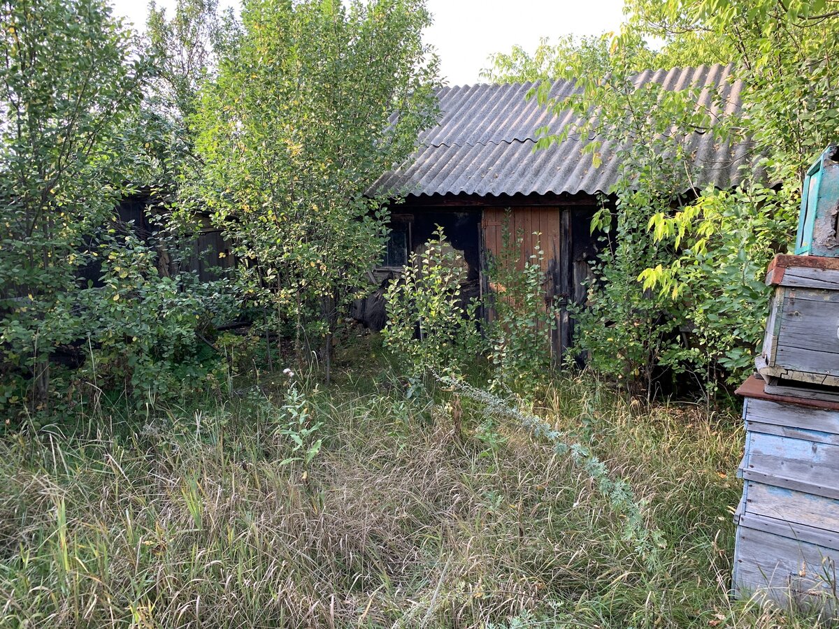 Купил заброшенный дом в деревне. Все бы хорошо, но он в плачевном состоянии  | БЛОГ НЕ БЛОГЕРА | Дзен