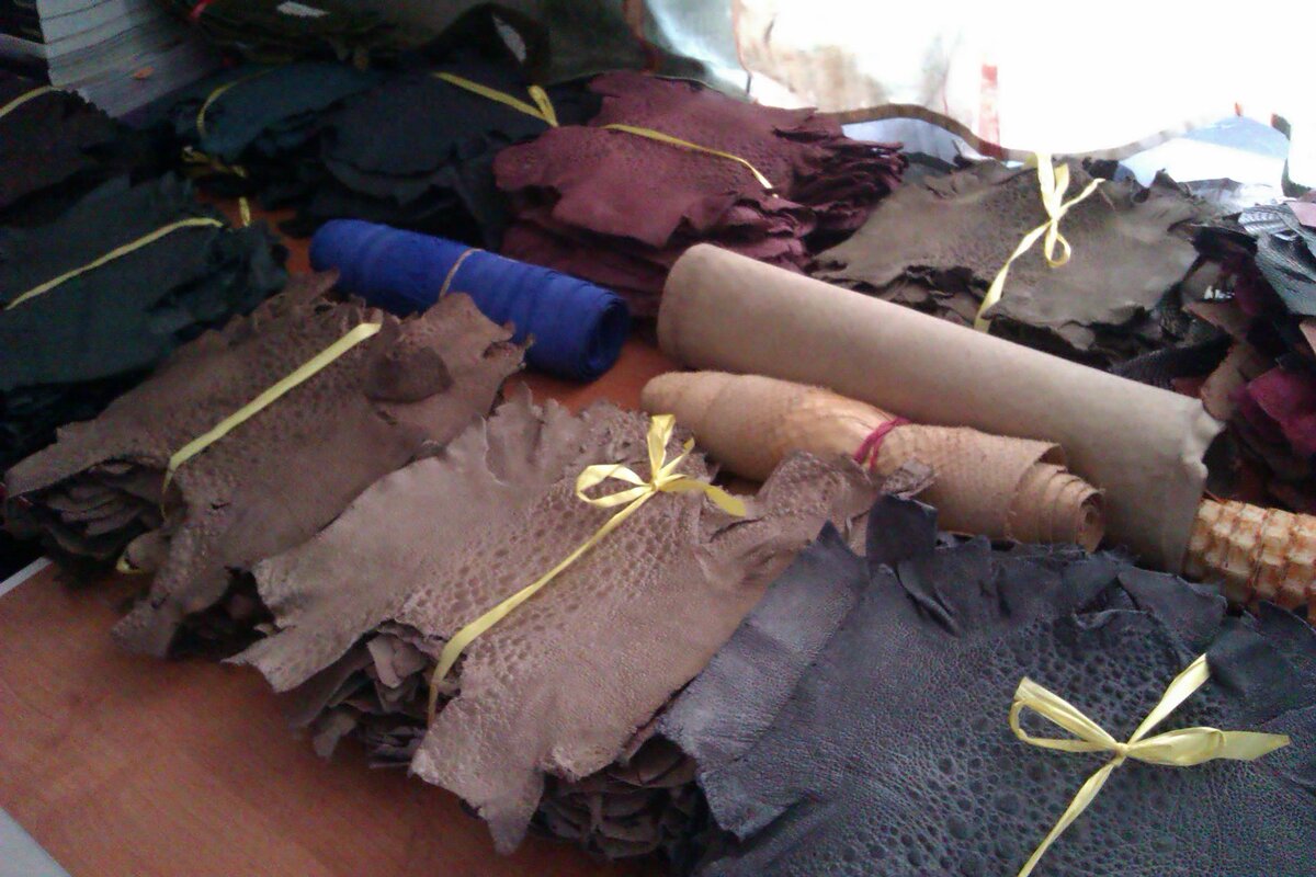 Кожинки из шкур жаб