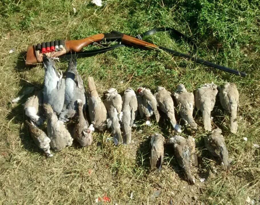 АВТОР СТАТЬИ: ИГОРЬ МЫНЗУЛ