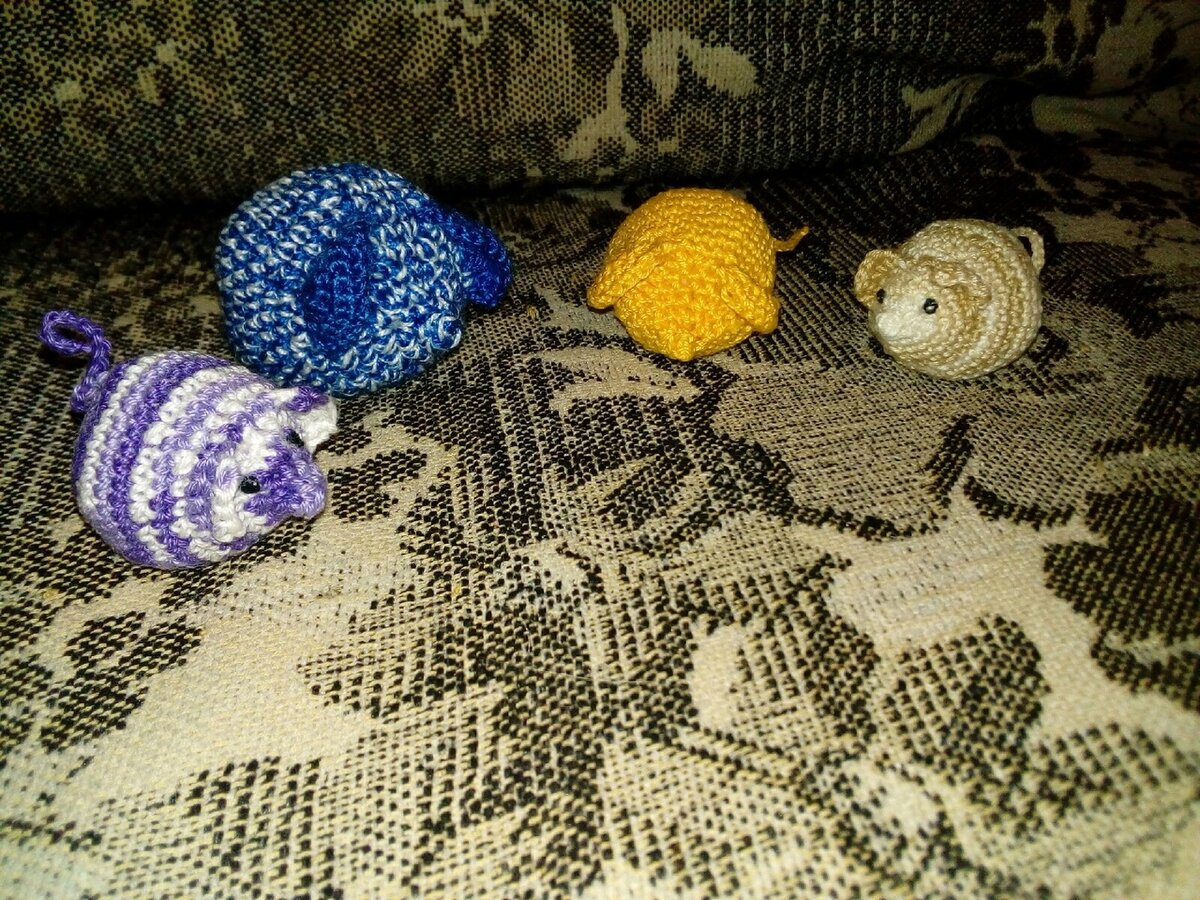 Мои мышата (три фотографии)